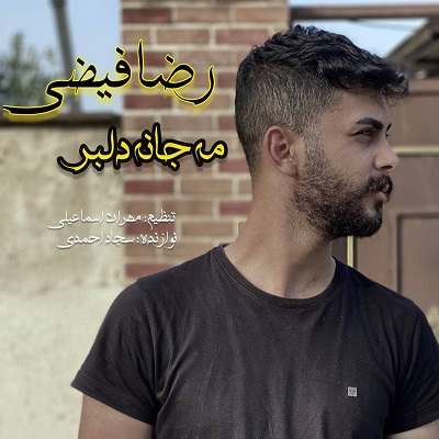 رضا فیضی مه جان دلبر